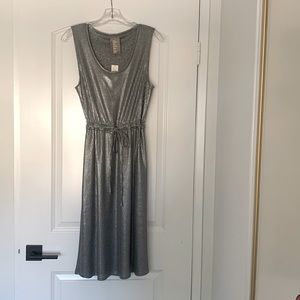 Brand New. Never worn. Dolan Silver Dress.